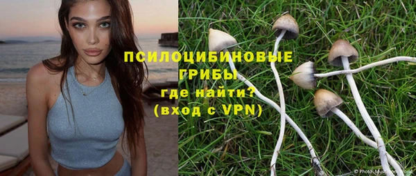 a pvp Богородицк