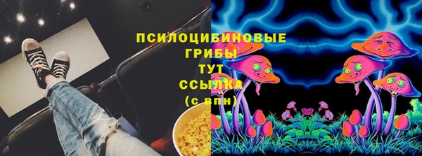 a pvp Богородицк